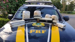 Polícia apreende 17kg de drogas em ônibus que trafegavam pela BR-153 