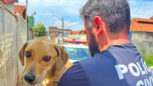 PCGO prende homem que tentou despistar policiais após equipe encontrar cachorro em condições precárias