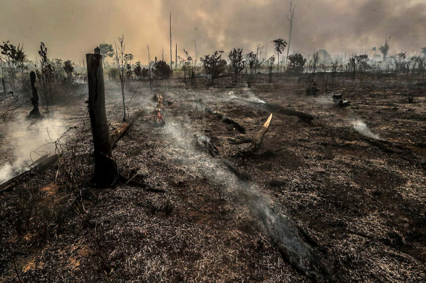Brasil bate recorde de áreas queimadas em 2024 Brasil bate recorde de áreas queimadas em 2024