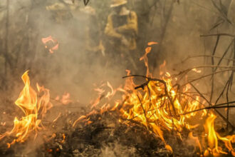 Incêndios na Amazônia Legal aumentam 42% em 2024, mas desmatamento cai 30%