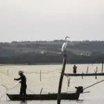 Período de defeso na Bacia Hidrográfica do Rio Paraguai termina em 28 de fevereiro