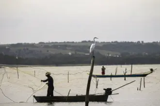 Período de defeso na Bacia Hidrográfica do Rio São Francisco termina em 28 de fevereiro
