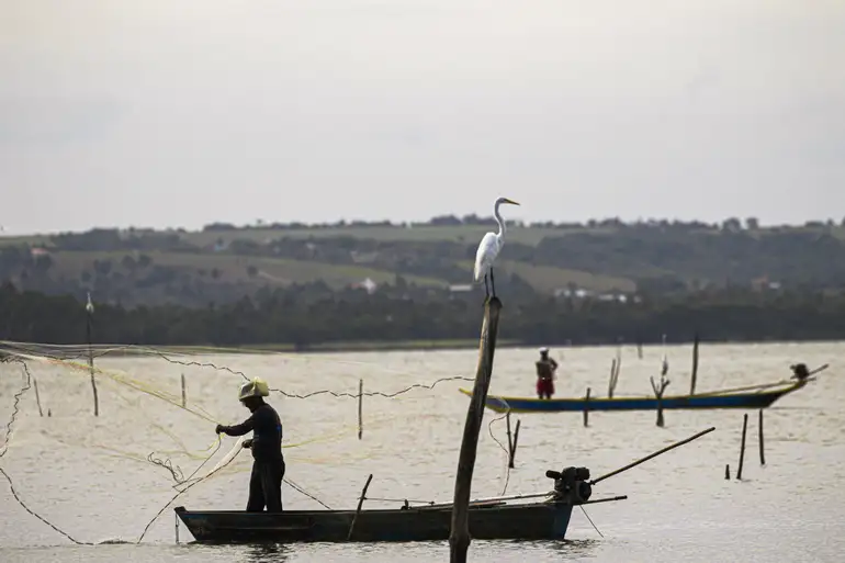 Período de defeso na Bacia Hidrográfica do Rio São Francisco termina em 28 de fevereiro Período de defeso na Bacia Hidrográfica do Rio São Francisco termina em 28 de fevereiro