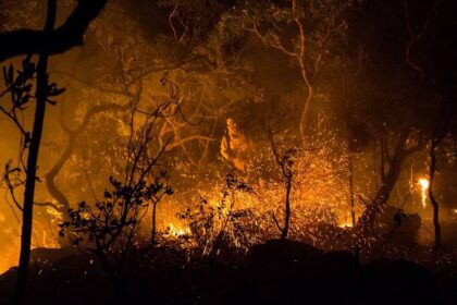 Fapeg investe R$ 1 milhão na prevenção de incêndios no Cerrado
