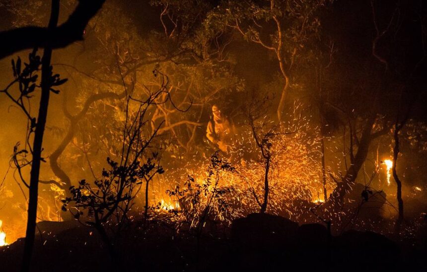 Fapeg investe R$ 1 milhão na prevenção de incêndios no Cerrado Fapeg investe R$ 1 milhão na prevenção de incêndios no Cerrado