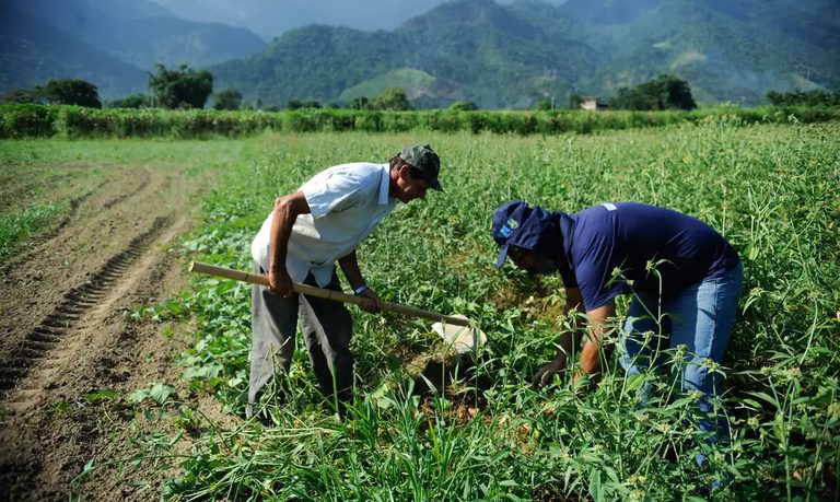 Garantia Safra: agricultores de 744 municípios começam a receber benefício; confira lista das cidades Garantia Safra: agricultores de 744 municípios começam a receber benefício; confira lista das cidades