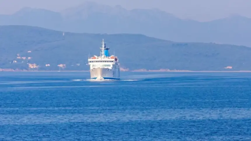 Cruzeiro zarpa do Porto de Santos e deixa cerca de 100 passageiros para trás; entenda Cruzeiro zarpa do Porto de Santos e deixa cerca de 100 passageiros para trás; entenda
