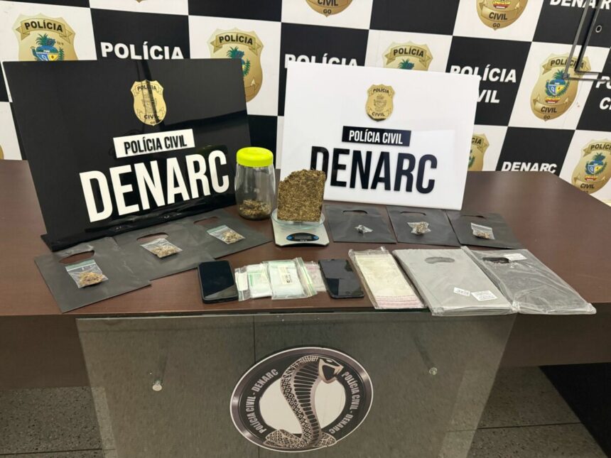PCGO prende professor de muay thai que traficava ‘supermaconha’ em Goiânia – Policia Civil do Estado de Goiás