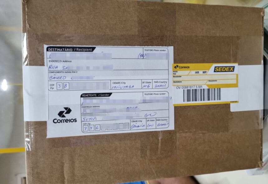 preso casal mineiro envolvido em fraudes em compras online com cartões clonados – Policia Civil do Estado de Goiás preso casal mineiro envolvido em fraudes em compras online com cartões clonados – Policia Civil do Estado de Goiás
