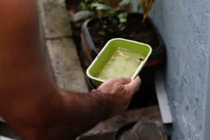 Dengue: 80 municípios prioritários terão ações de enfrentamento intensificadas; veja lista