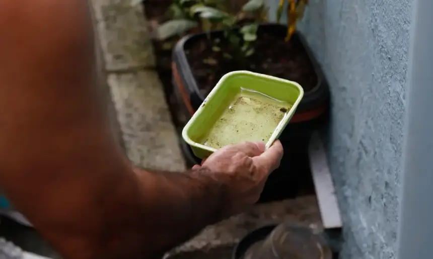 Dengue: 80 municípios prioritários terão ações de enfrentamento intensificadas; veja lista Dengue: 80 municípios prioritários terão ações de enfrentamento intensificadas; veja lista