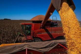 Tarifaço de Trump: cenário pode ser oportuno para exportações brasileiras de café e soja