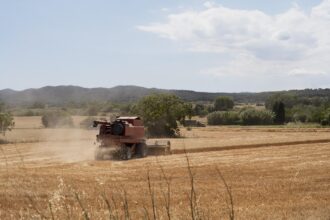 Valor da Terra Nua (VTN): prazo para envio termina nesta quarta (30)