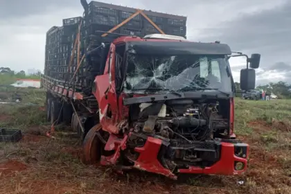 Homem morre atropelado por caminhão na BR-060