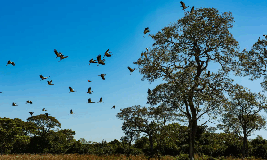 Áreas com inundações frequentes podem ser isentas de Imposto Territorial Rural