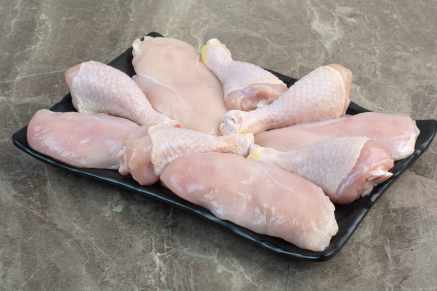 Gripe aviária: produtores de carne de frango em estado de alerta, aponta Cepea Gripe aviária: produtores de carne de frango em estado de alerta, aponta Cepea