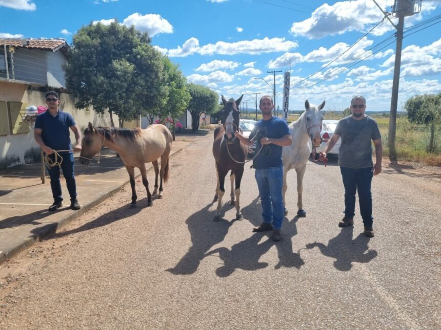 PCGO apreende adolescentes por furtos de equinos em Porangatu e recupera animais – Policia Civil do Estado de Goiás PCGO apreende adolescentes por furtos de equinos em Porangatu e recupera animais – Policia Civil do Estado de Goiás