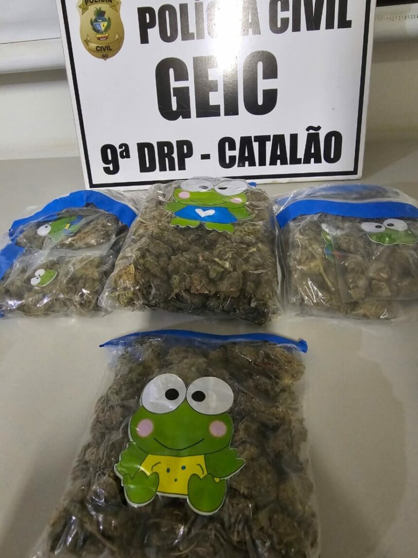 PCGO apreende super maconha e prende homem em flagrante em Catalão – Policia Civil do Estado de Goiás
