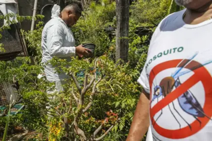 SÃO PAULO: estado registra 721 mil casos e mais de 600 óbitos por dengue em 2025