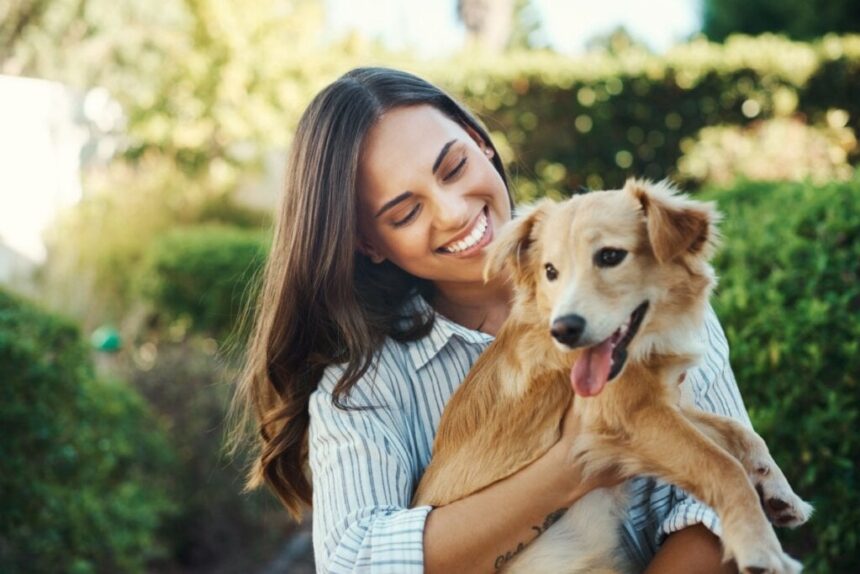 8 motivos para manter a rotina de cães e gatos 8 motivos para manter a rotina de cães e gatos