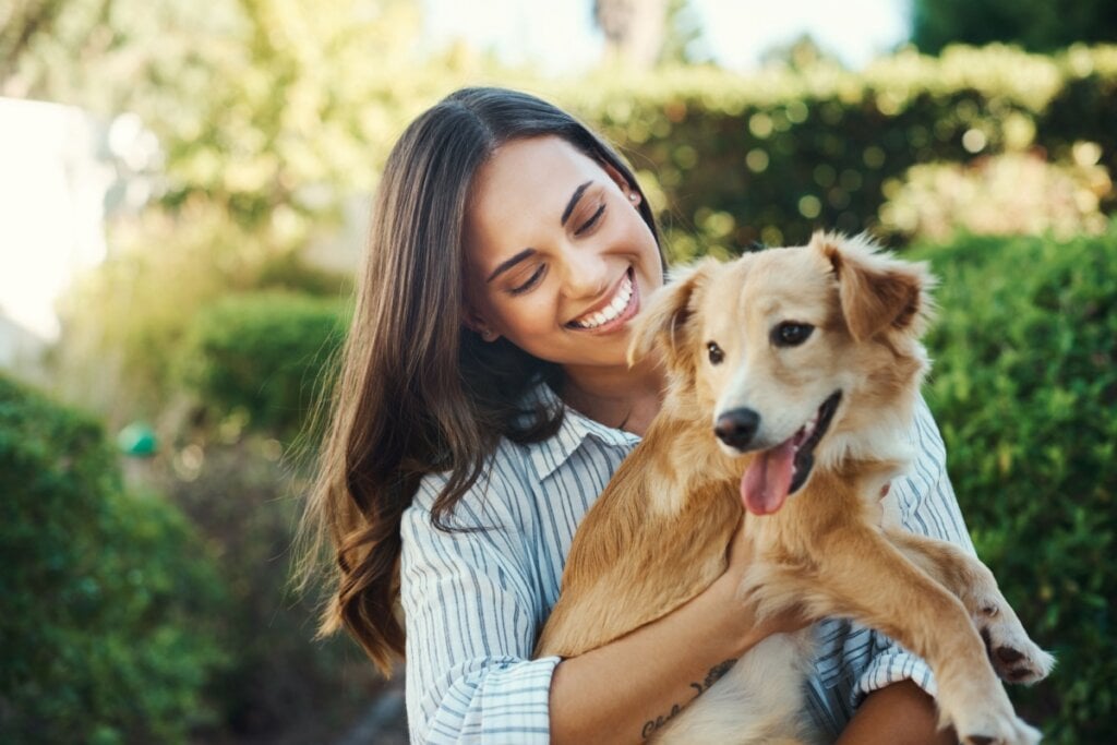 8 motivos para manter a rotina de cães e gatos 8 motivos para manter a rotina de cães e gatos