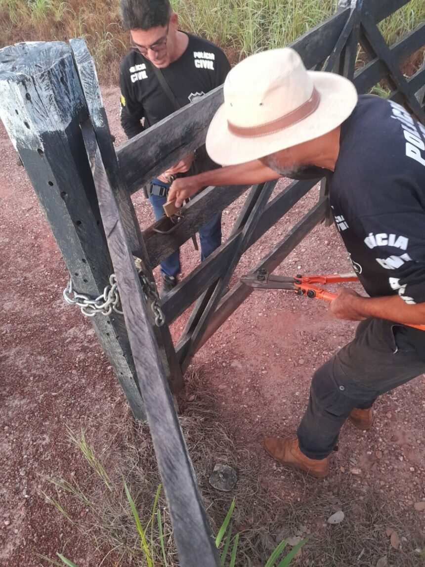 PCGO apreende carabina e munições com suspeito de ameaçar a ex-mulher em Monte Alegre de Goiás