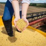 PIB goiano cresce 7,7% no primeiro trimestre de 2025 – Portal Goiás