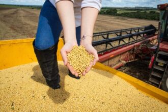 PIB goiano cresce 7,7% no primeiro trimestre de 2025 – Portal Goiás