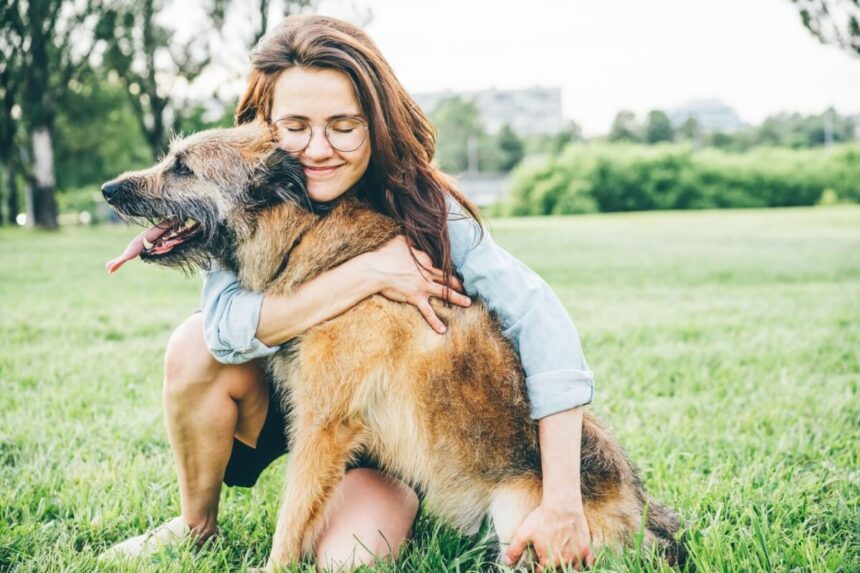 6 dicas de como agir ao resgatar um animal abandonado 6 dicas de como agir ao resgatar um animal abandonado