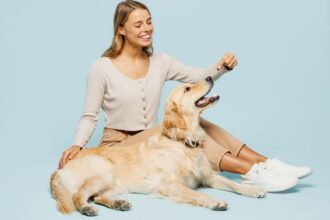 Veja os sintomas e os tratamentos para artrite em animais