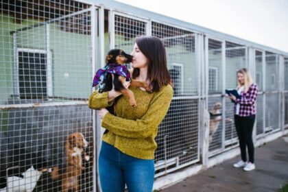 7 meios de adotar um animal de estimação