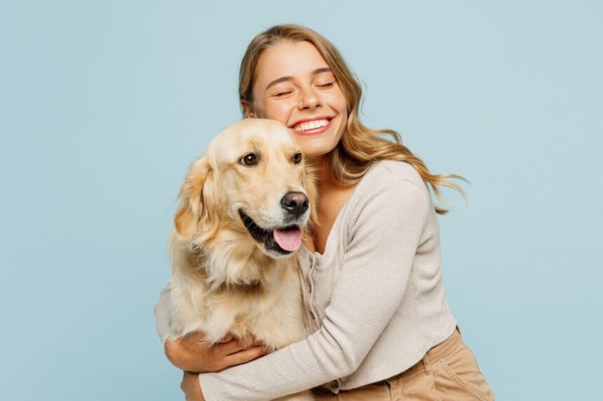 7 raças de cachorro mais tranquilas 7 raças de cachorro mais tranquilas