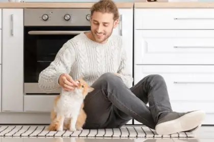 7 maneiras eficientes de chamar o gato 