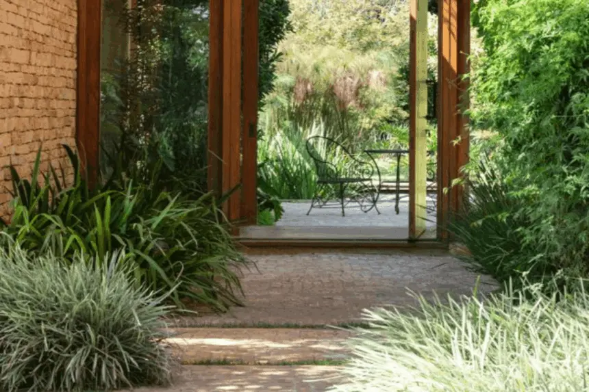 5 cuidados essenciais com as plantas no inverno 5 cuidados essenciais com as plantas no inverno