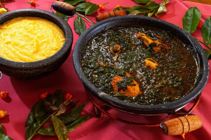 7 receitas com ora-pro-nóbis para almoços nutritivos e fáceis de preparar 7 receitas com ora-pro-nóbis para almoços nutritivos e fáceis de preparar