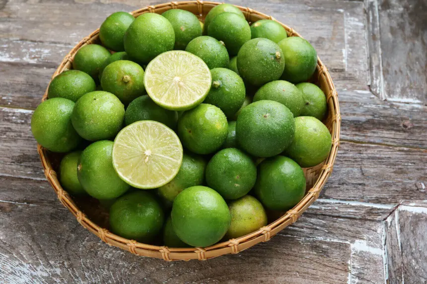 6 tipos de limão e como usá-los em receitas 6 tipos de limão e como usá-los em receitas