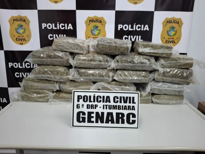 PCGO intercepta carregamento de “supermaconha” avaliado em R$ 500 mil – Policia Civil do Estado de Goiás