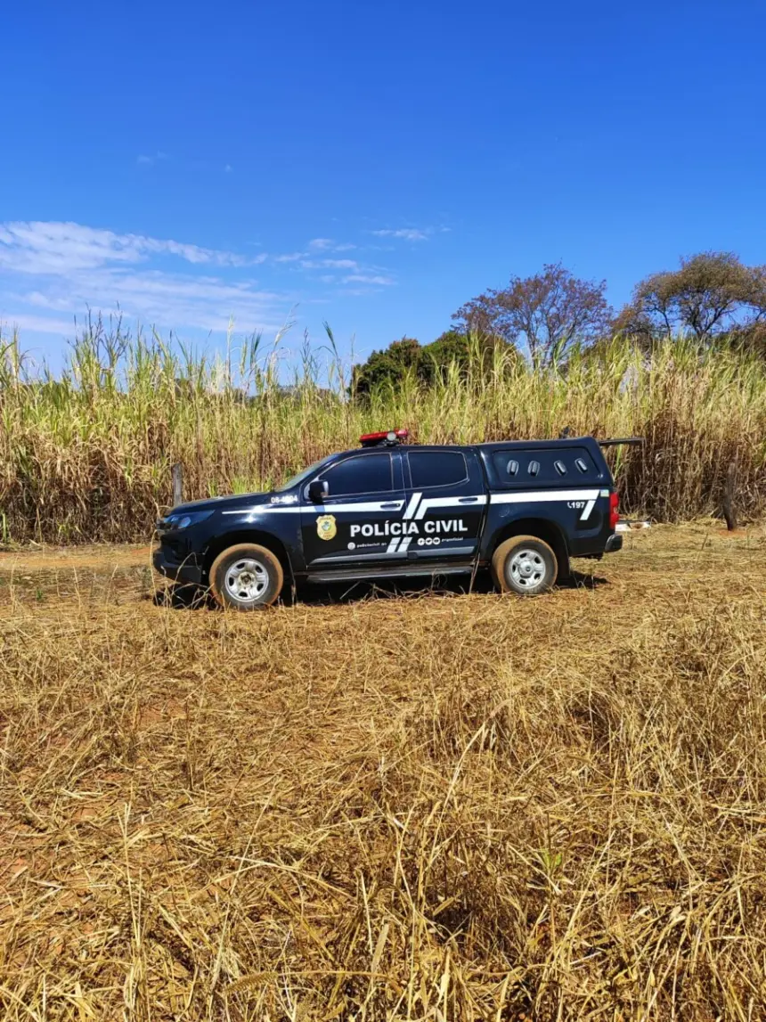 PCGO autua dono de cães que atacaram bezerros em propriedade rural de Caldas Novas – Policia Civil do Estado de Goiás PCGO autua dono de cães que atacaram bezerros em propriedade rural de Caldas Novas – Policia Civil do Estado de Goiás