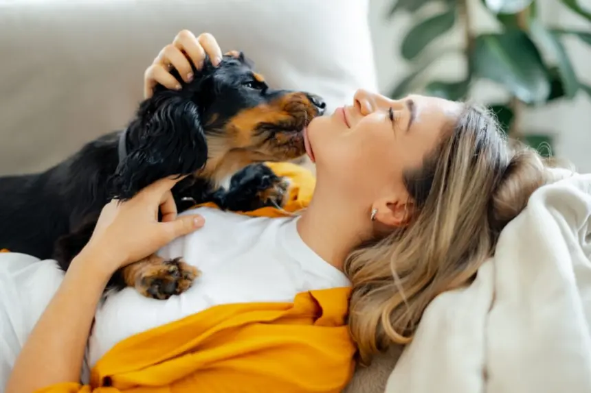 12 nomes perfeitos para cachorros carinhosos 12 nomes perfeitos para cachorros carinhosos