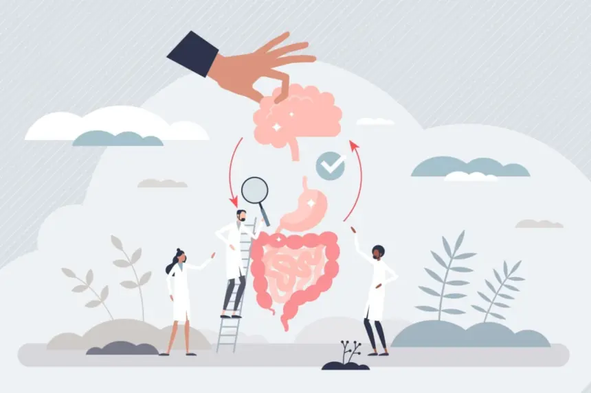 Entenda como o estresse pode resultar em problemas gastrointestinais Entenda como o estresse pode resultar em problemas gastrointestinais