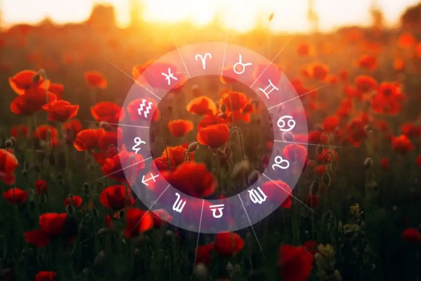 Veja como cada signo pode aproveitar o equinócio de primavera Veja como cada signo pode aproveitar o equinócio de primavera
