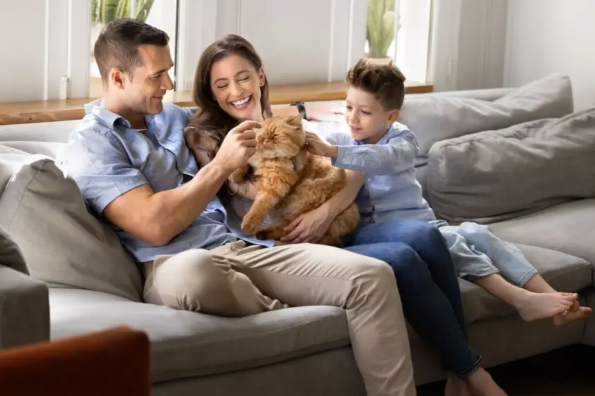 12 nomes perfeitos para gatos carinhosos 12 nomes perfeitos para gatos carinhosos