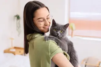 12 nomes perfeitos para gatos sociáveis