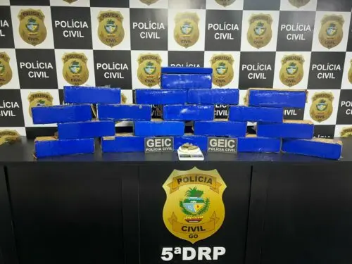 PCGO desativa apartamento usado como depósito de drogas e apreende grande quantidade de maconha – Policia Civil do Estado de Goiás