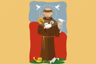 8 simpatias e orações para o Dia de São Francisco de Assis