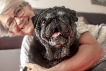3 benefícios da suplementação para animais idosos