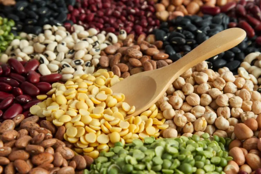 5 grupos de alimentos essenciais para incluir na dieta vegana 5 grupos de alimentos essenciais para incluir na dieta vegana