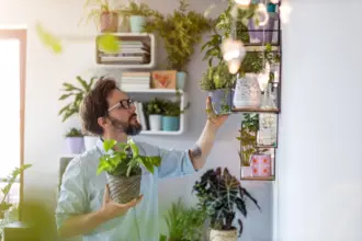 7 plantas ideais para decorar a casa e atrair boas energias