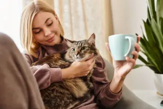 10 nomes ideais para gatos carinhosos 