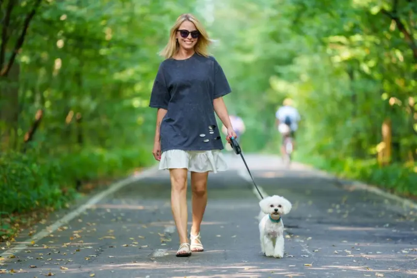 10 plantas tóxicas para animais comuns em jardins e calçadas 10 plantas tóxicas para animais comuns em jardins e calçadas